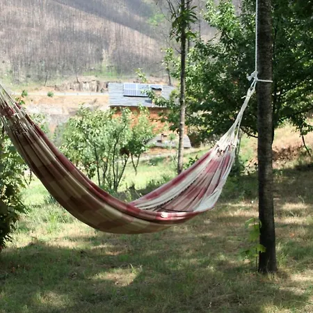 Holiday home Casa Do Giestal Vide